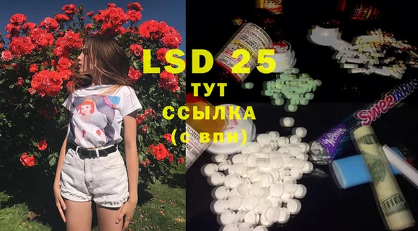 стаф Горняк