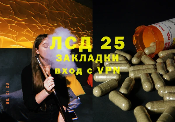 стаф Горняк