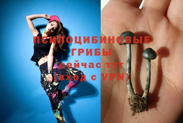 COCAINE Горнозаводск