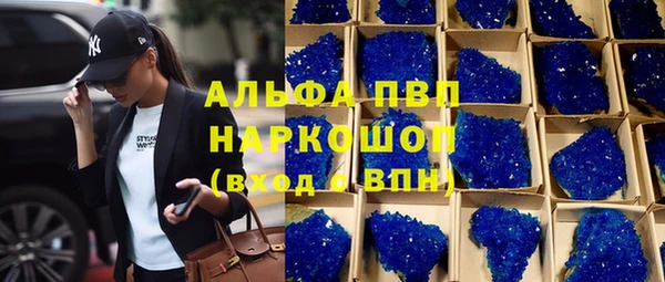 стаф Горняк