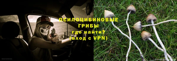 стаф Горняк