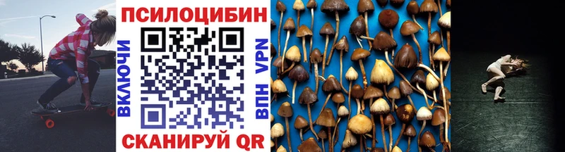 Псилоцибиновые грибы Psilocybine cubensis  Купить закладки  Новотроицк 